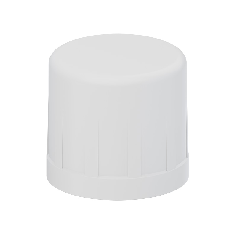 CAP SLIP - SCH40