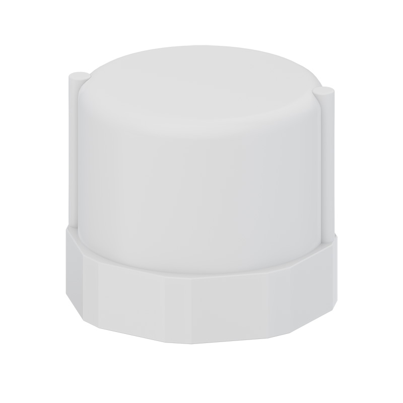 CAP FIPT - SCH40